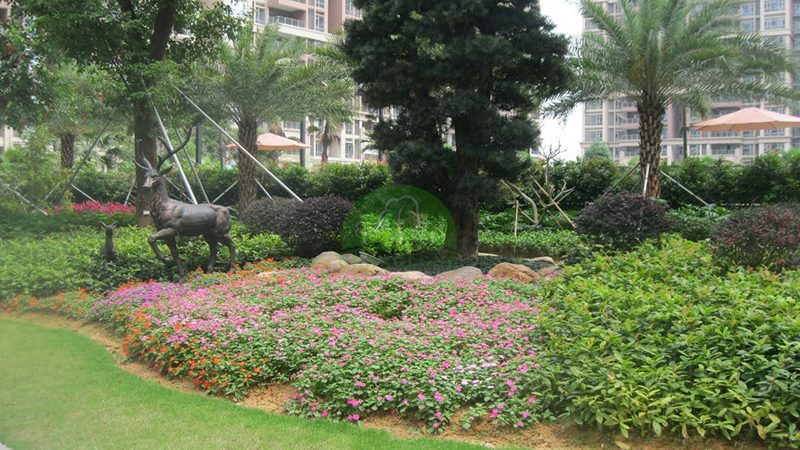 现代园林景观设计风格解析：价格与风格的平衡之道