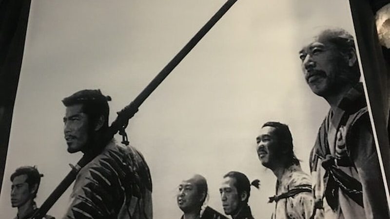 室外垂直绿化墙面系统：如何打造城市绿色新景观