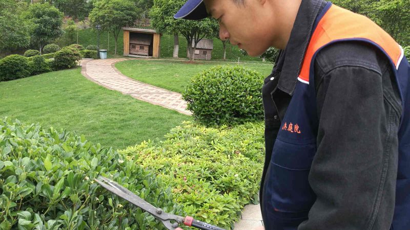 商场立体绿化：设计、施工与维护周期全解析**