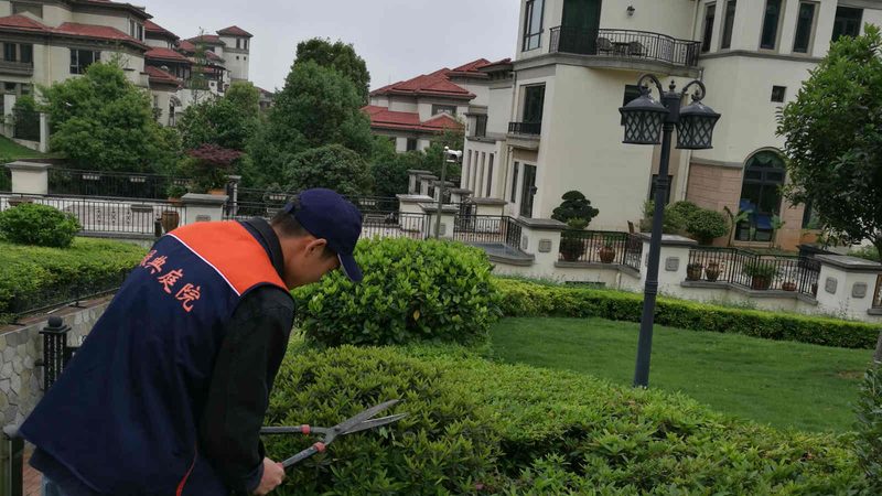 阳台立体绿化墙：打造都市绿色角落的实用教程