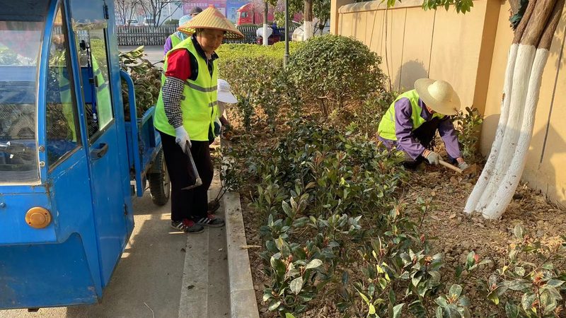 屋顶草坪防水层规范图集：关键要素与施工要点**