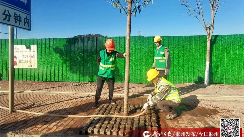 高速公路中间绿化带高度规范解析**