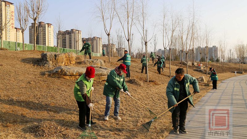 市政绿化植被成活率提升之道：关键技术与实践解析**