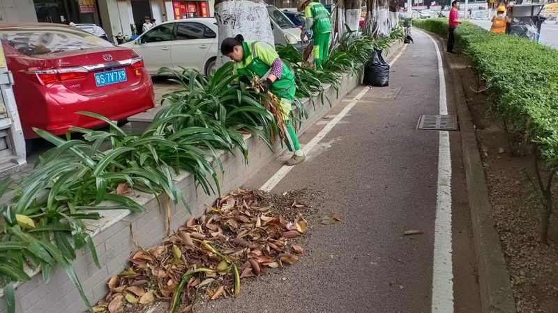 会议室花卉租摆，如何打造清新雅致的空间氛围？**