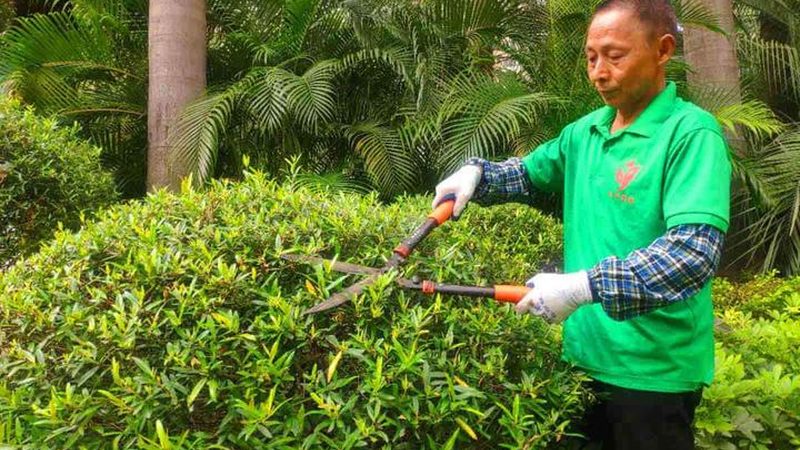 透水砖与石材之争：小区景观中谁才是最佳选择？**