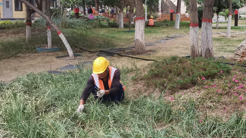 上海高端园林景观公司如何选择？关键点揭秘**