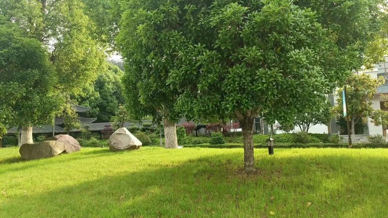 边坡绿化客土喷播：技术解析与选择要点**