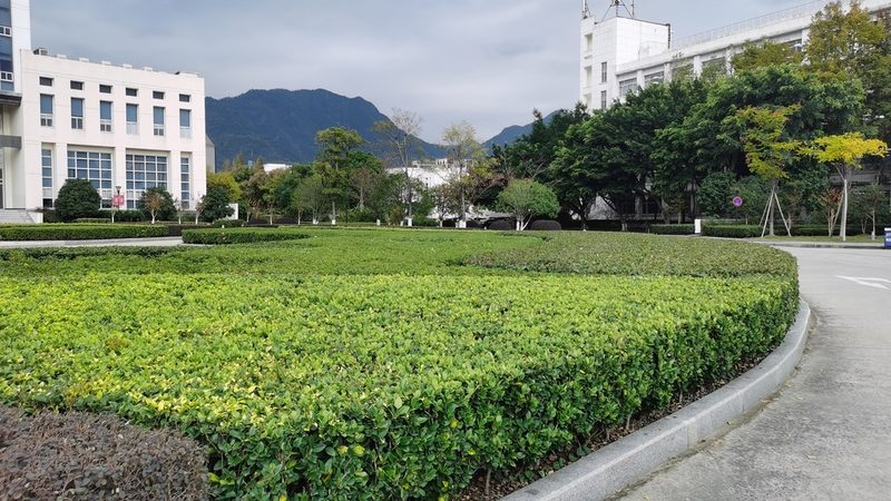 花卉租摆，如何慧眼识珠选靠谱商家？**